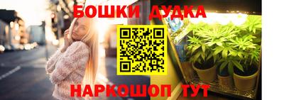 шишки Камышлов
