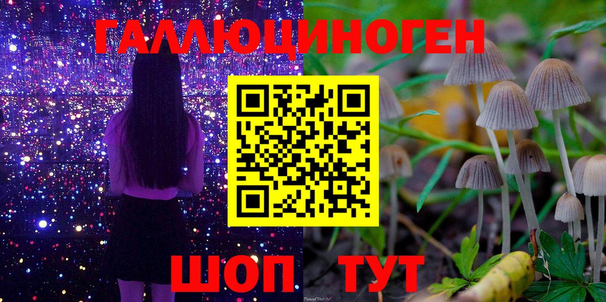 Псилоцибиновые грибы Psilocybe  Галлюциногенные грибы ЛСД  Вход с VPN  цены   Всеволожск 